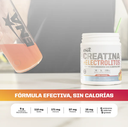 CREATINA + ELECTROLITOS 302g ENA