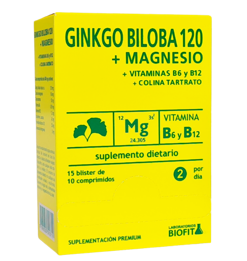 BLISTERA GINKGO BILOBA 120 MAGNE 15 B 10 C BIOFIT