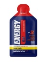 GEL ENERGY MERVICK