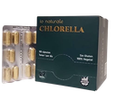 BLISTER CHLORELLA + B6 10 CAPS IO-N