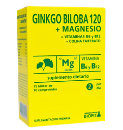 BLISTERA GINKGO BILOBA 120 MAGNE 15 B 10 C BIOFIT